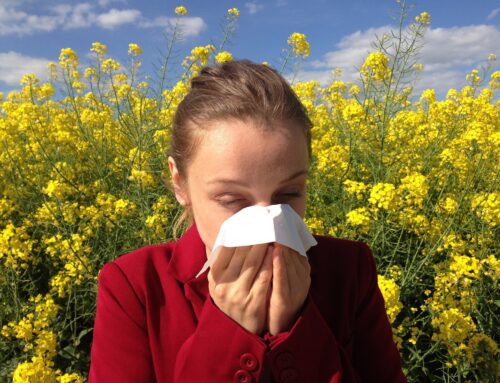 Materac dla alergika – Jaki wybrać?